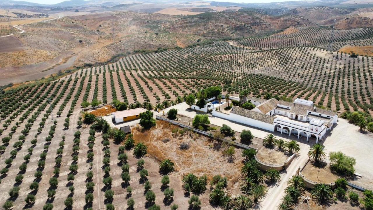Cortijo Donana Villa La Puebla de Cazalla Exterior photo